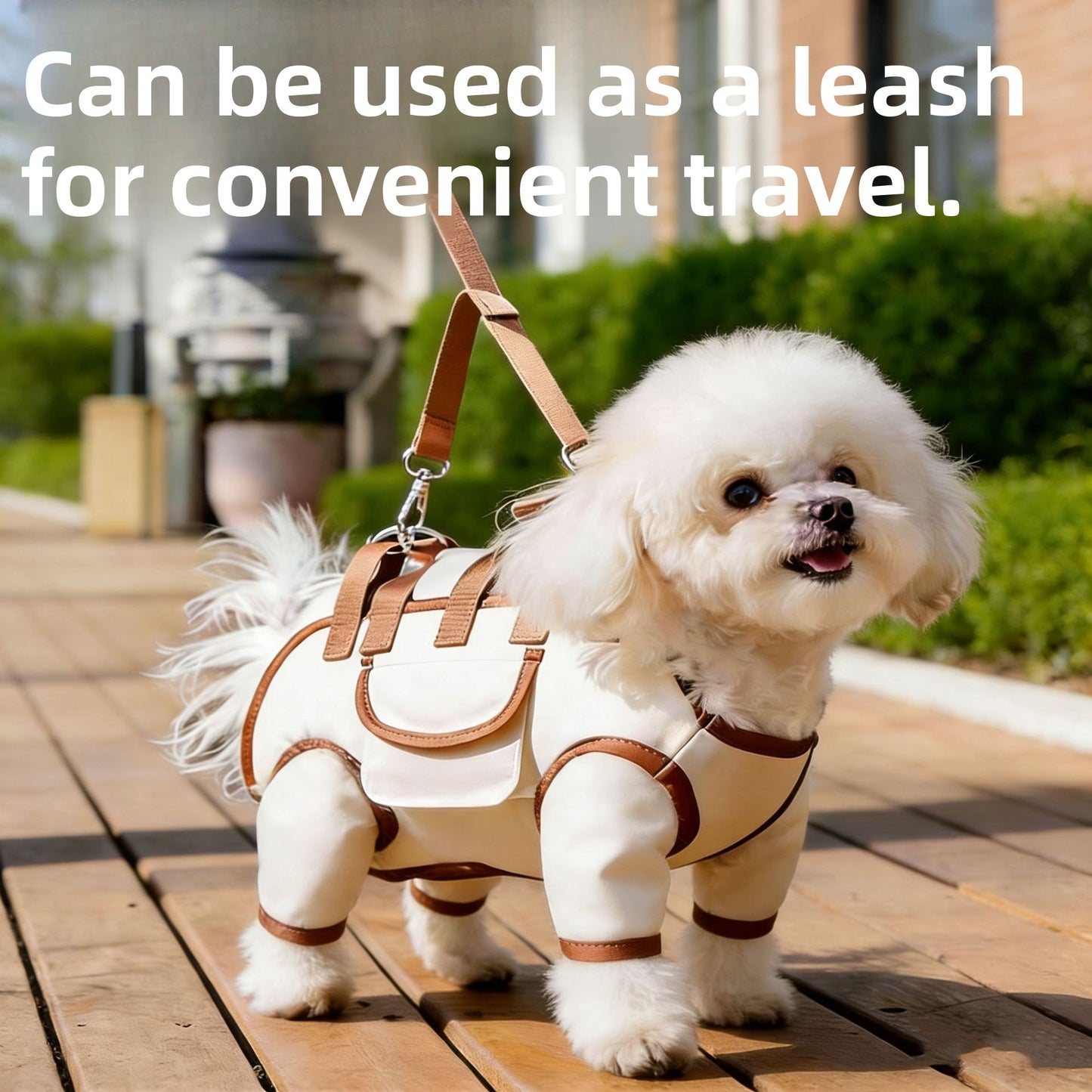 Lightweight Pet Carrier Bag for Outdoor Use
