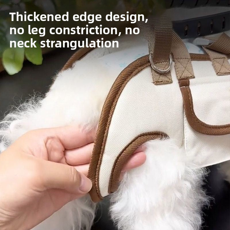 Lightweight Pet Carrier Bag for Outdoor Use